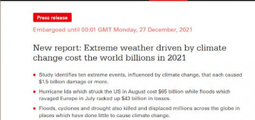 Opgørelse af omk 2021 klima katastrofer